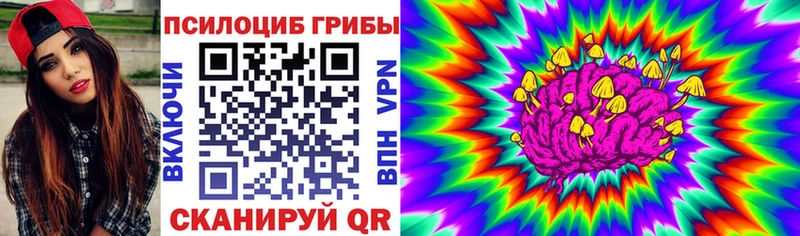 Купить где  Задонск  Псилоцибиновые грибы Psilocybe 